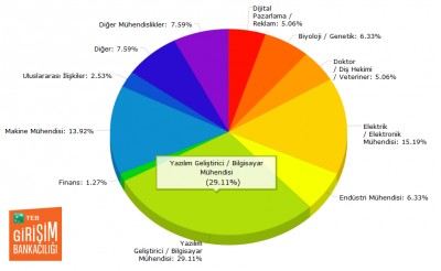 Girişimcilerin mesleklere göre dağılımı