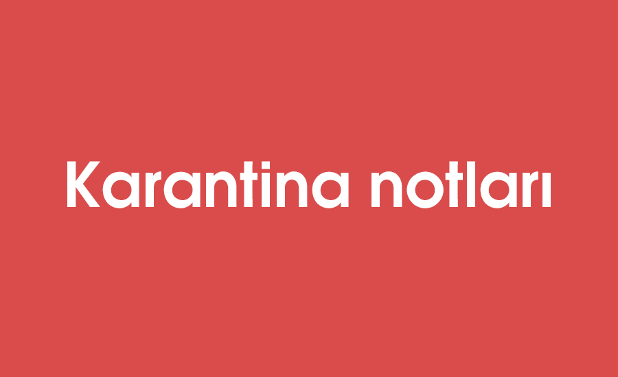 Karantina notları